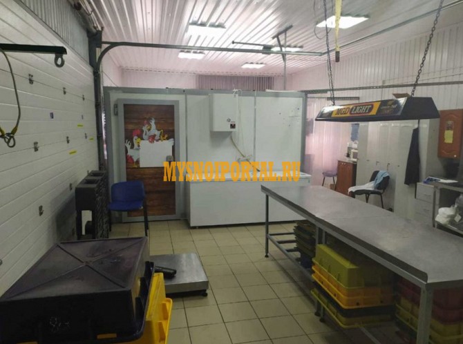 Продаем Мясной бизнес Новосибирск - изображение 1