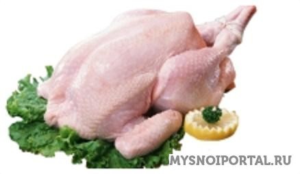 Тушка куры 1 сорт (потрошенная) Чайковский - изображение 1