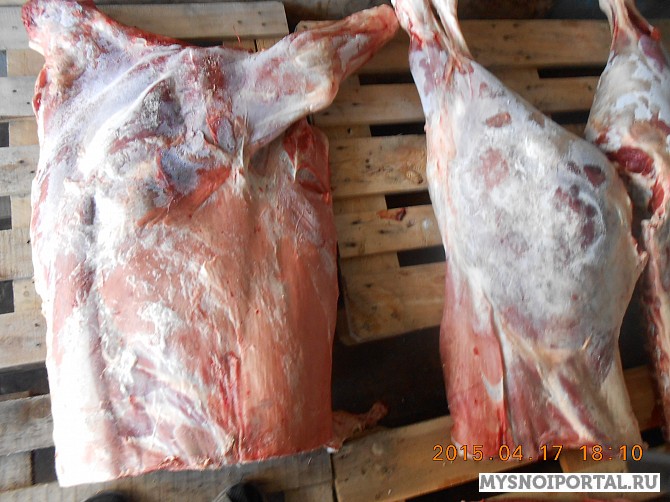 Мясо свинина говядина разделка субпродукты Тюмень - изображение 1