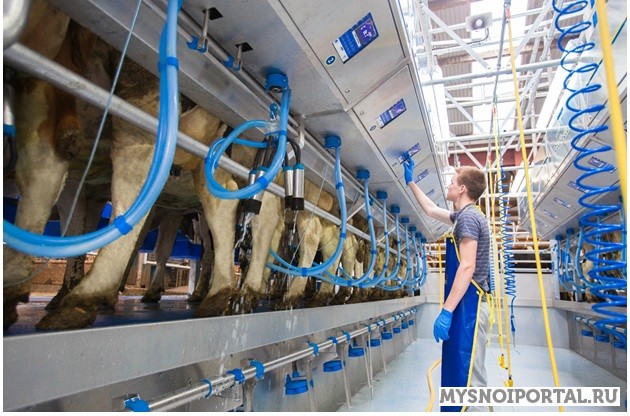 Доильные Залы «елочка» и «свинговер» Саранск - изображение 1