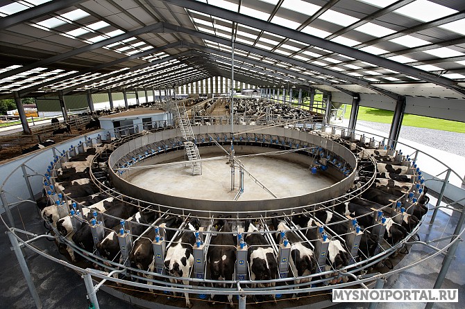 Доильные Залы «карусель» Саранск - изображение 1