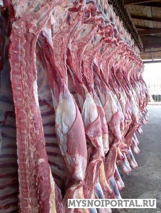 Предлагаем Говядина п/т Дебёсы - изображение 1