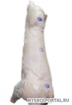 Предлагаем Свинина в полутушах Ува - изображение 1