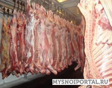 Предлагаем Полутуши говяжьи Агрыз - изображение 1