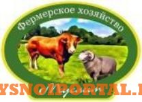 Куплю Коровы, на убой в Санкт-Петербурге Санкт-Петербург - изображение 1