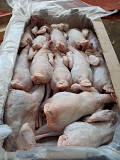 Суповая курица ГОСТ н/к, зам, в Ярославле  доставка из г.Ярославль