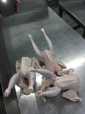 Суповая курица ГОСТ н/к, зам, в Ярославле  доставка из г.Ярославль