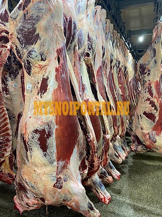 Продаю Четверти говяжьи ГОСТ, н/к, зам, в Москве Москва - изображение 1