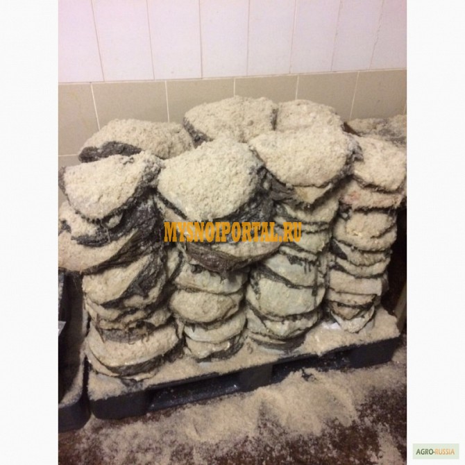 Куплю Книжка говяжья зам, от 100 кг в Екатеринбурге Екатеринбург - изображение 1