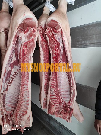 Продаю Мясо свинины б/к, Охл/Зам, в Челябинске Челябинск - изображение 1