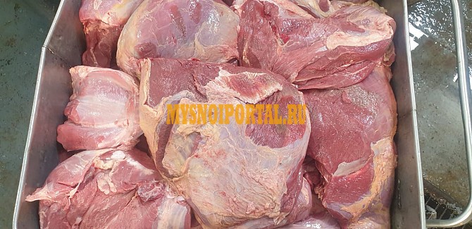 Продаю Отруба говяжьи ООО МЯСО АЛТАЯ, ГОСТ, б/к, зам, в Майме Майма - изображение 1