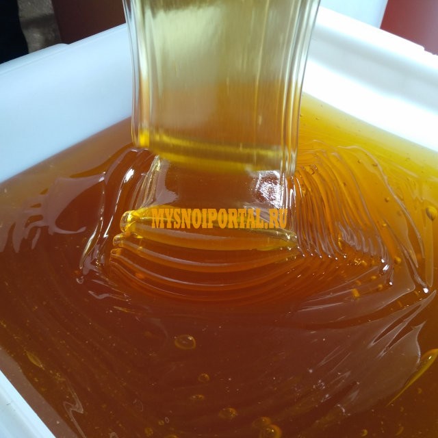 Продаю Мед Гречишный в Москве Москва - изображение 1