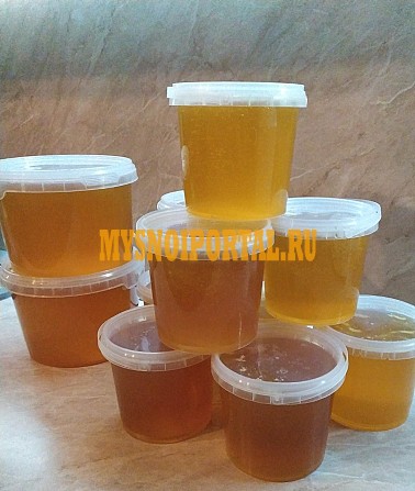 Продаю Мед Липовый в Санкт-Петербурге Санкт-Петербург - изображение 1