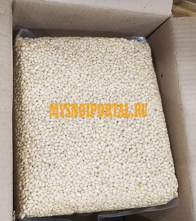 Кедровое ядро. Урожай 2022 Москва - изображение 1