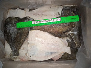 Продажа: Камбала Б/г Б/х (1*10), в Кемерово доставка из г.Кемерово