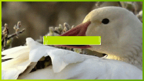 Продажа: Тушки гусиные "Линдовская" ГОСТ, зам, в Муслюмово Муслюмово - изображение 1