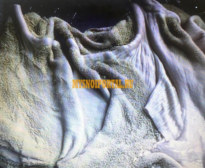 Продаю Рубец говяжий зам Москва - изображение 1