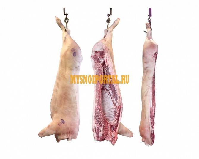 Полутуши Свиные Обуховский МК, Охл/Зам, категория - II (мясная – молодняк) в Старом Осколе Старый Оскол - изображение 1