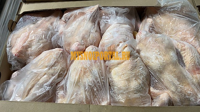 Куриные Тушки ГОСТ, Халяль бренда Домашние Правила, н/к, зам, в Москве Москва - изображение 1