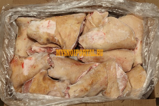 Продаю Рулька свиная н/к, зам, в Тимашевске Тимашевск - изображение 1