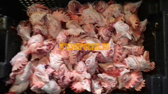 Куриная разделка ГОСТ Охл/Зам, в Санкт-Петербурге Санкт-Петербург - изображение 1