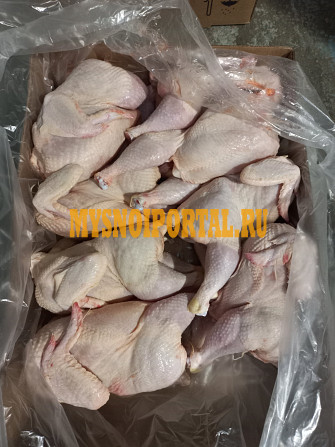 Куриные Тушки ГОСТ охл, в Санкт-Петербурге Санкт-Петербург - изображение 1