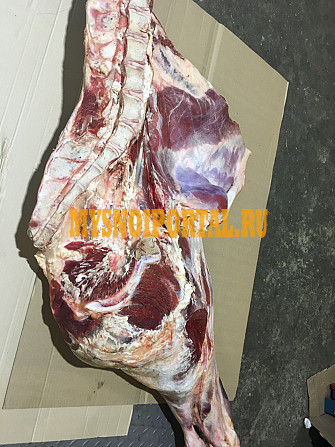 Продаю Полутуши Говяжьи бычков ГОСТ, охл, в Санкт-Петербурге Санкт-Петербург - изображение 1