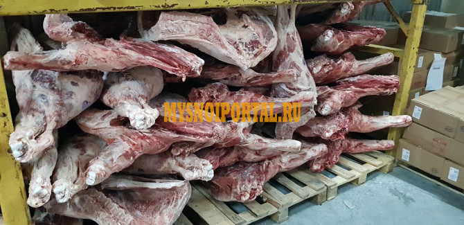 Продажа: Просроченное мясо, некондиция ГОСТ, зам, в Томске Томск - изображение 1