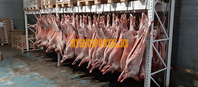 Продажа: Туши Бараньи (Ягнятины) , н/к, зам, в Санкт-Петербурге Санкт-Петербург - изображение 1