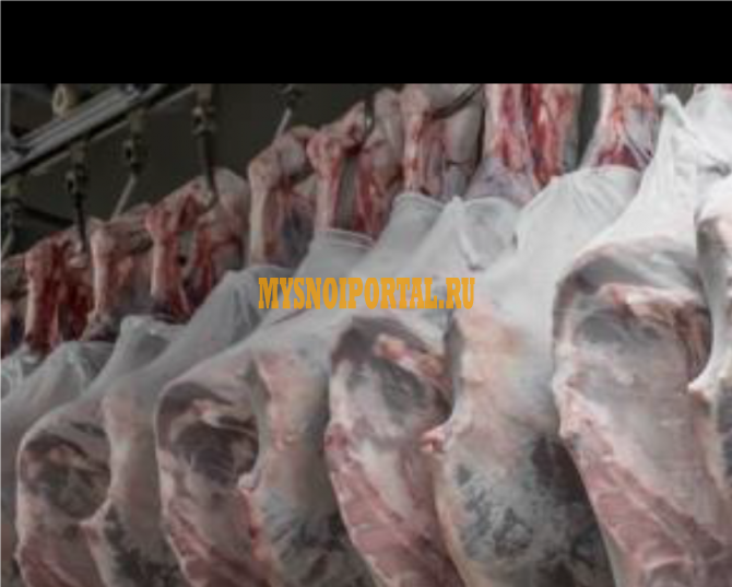 Продаю Сетки STOCKINETTES для транспортировки охлажденных и замороженных туш в Воронеже Воронеж - изображение 1