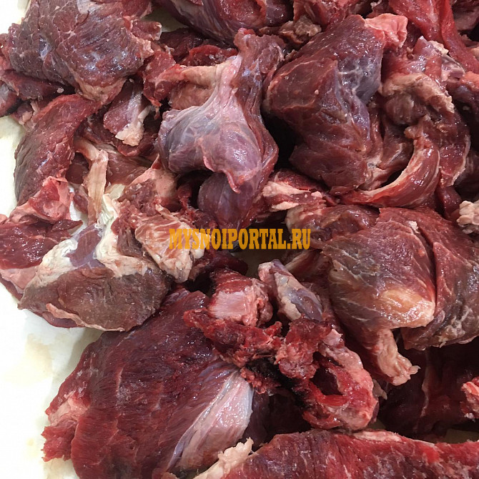 Продаю Котлетное мясо говяжье ГОСТ, зам, в Москве Москва - изображение 1