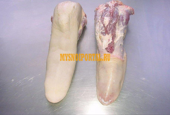 Продаю Языки говяжьи Импорт, ГОСТ зам, от 100 кг в Москве Москва - изображение 1