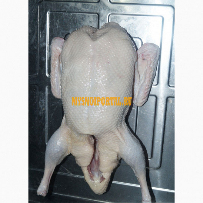 Тушки индейки ГОСТ, Халяль, ТУ, Охл/Зам, самовывоз в Минске Минск - изображение 1