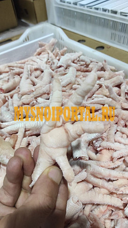 Куплю Ноги куриные Охл/Зам, от 100 кг, от 10 тонн, от 20 тонн в Брянске Брянск - изображение 1