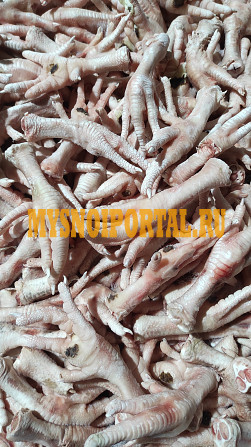 Продаю Ноги куриные зам, от 1 тонны, от 20 тонн в Брянске Брянск - изображение 1