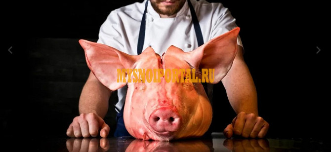 Продаю Головы свиные ОМК , РФ Охл/Зам, от 100 кг в Старом Осколе Старый Оскол - изображение 1