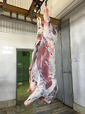 Полутуши Говяжьи коров, бычков, телят  ГОСТ, Халяль, ТУ, Кошерная, Органика, blak angus, HEREFORD, шаролезская, лимузинская, Wagyu,  парное, 3 800 $   доставка из г.Минск
