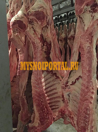 Полутуши Говяжьи коров, бычков, телят ГОСТ, Халяль, ТУ, Кошерная, Органика, blak angus, HEREFORD, шаролезская, лимузинская, Wagyu, парное, 3 800 $ в М Минск - изображение 1