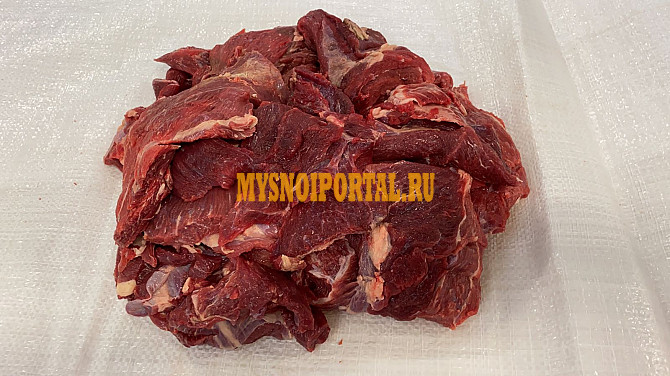 Продаю Блочная говядина ГОСТ, ТУ, Охл/Зам, в Боброве Бобров - изображение 1