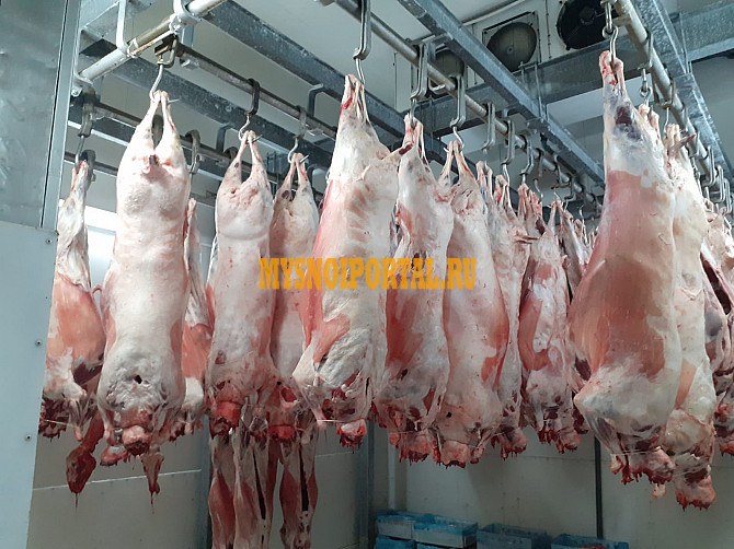 Продаю Тримминг говяжий 30/70 ГОСТ, зам, в Москве Москва - изображение 1