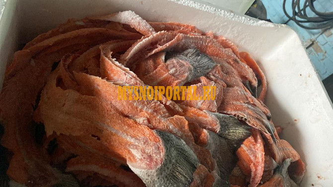 Продам головы, хребты Форели Москва - изображение 1