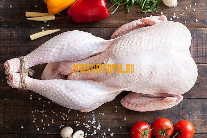 Тушки индейки ГОСТ, охл, самовывоз от 350 руб. в Ростове-на-Дону Ростов-на-Дону - изображение 1