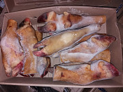 Продаю Односортная говядина ГОСТ,  зам,в Челябинске Челябинск