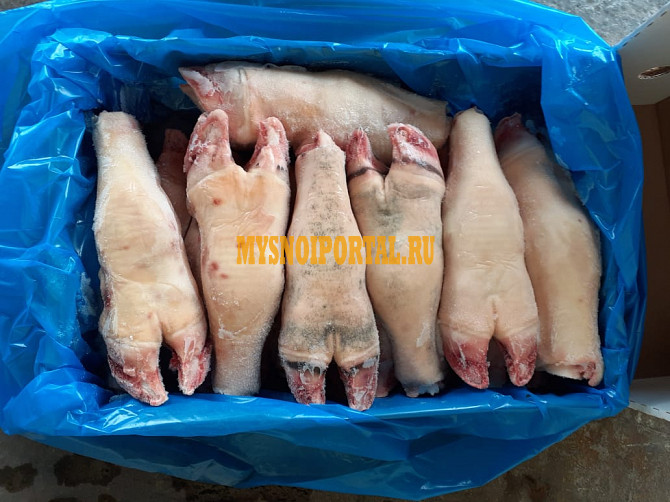 Односортная говядина ГОСТ, зам, в Челябинске Челябинск - изображение 1