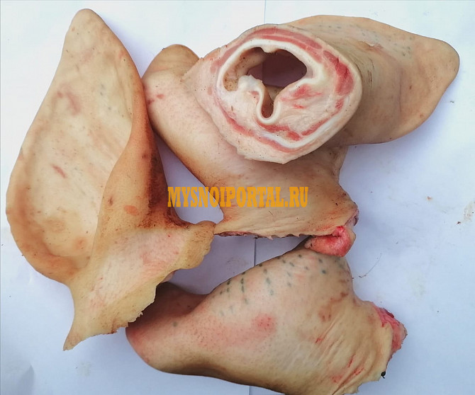 Продаю Уши свиные РФ зам, от 100 кг в Краснодаре Краснодар - изображение 1