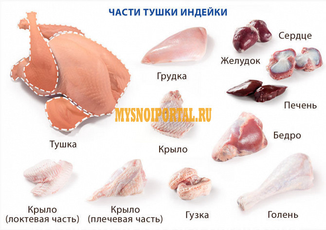 Разделка индейки ГОСТ, охл, своей машиной по городу от 140 руб. в Москве Москва - изображение 1