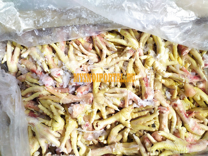 Продаю Ноги куриные зам, от 100 кг в Старом Черек Старый Черек - изображение 1