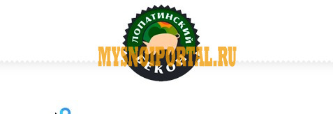 Полутуши Свиные зам, в Лопатинском Лопатинский - изображение 1