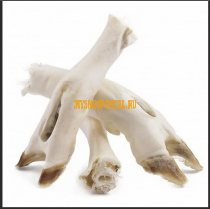 Куплю Ноги бараньи зам, от 100 кг в Ростове-на-Дону Ростов-на-Дону - изображение 1