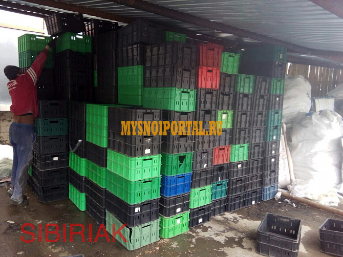 Купим ящики вино-водочные, молочные, мясные Новосибирск - изображение 1